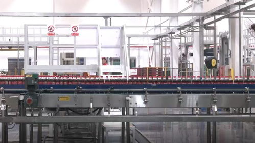 數(shù)實相融 算啟未來 中糧可口可樂 插上 數(shù)智羽翼 推動企業(yè)發(fā)展