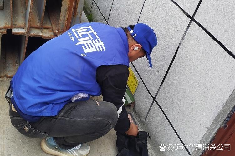 吉林省消殺四害服務(wù) #蟲(chóng)害防治# #四害消殺# #上門(mén)殺蟲(chóng)公司# #食品廠